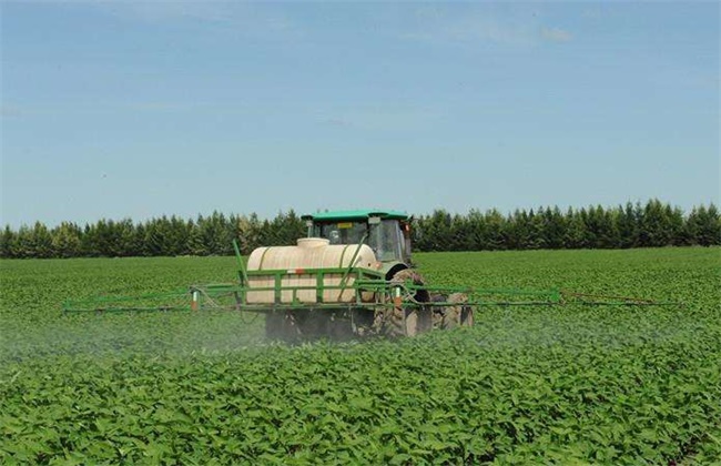 Best NPK fertilizer for Soybean