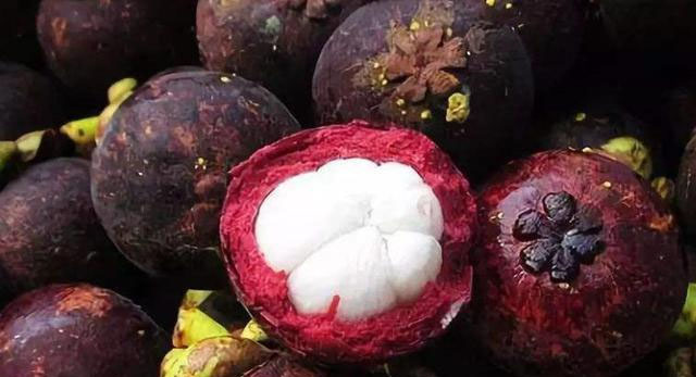 Best NPK fertilizer for Mangosteen