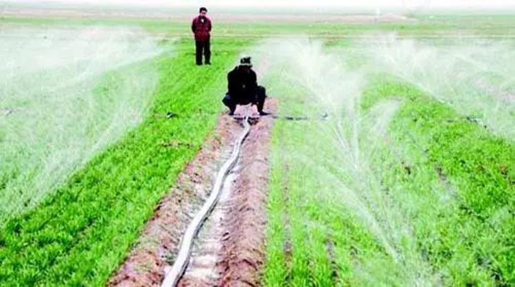 Two. Irrigation with water