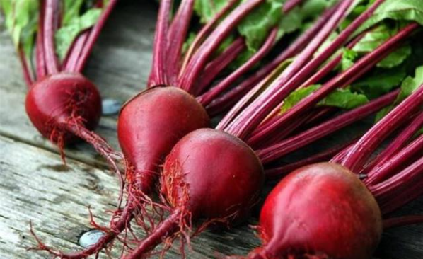 How to fertilize sugar beets, pay attention to applying basal fertilizer and topdressing the roots