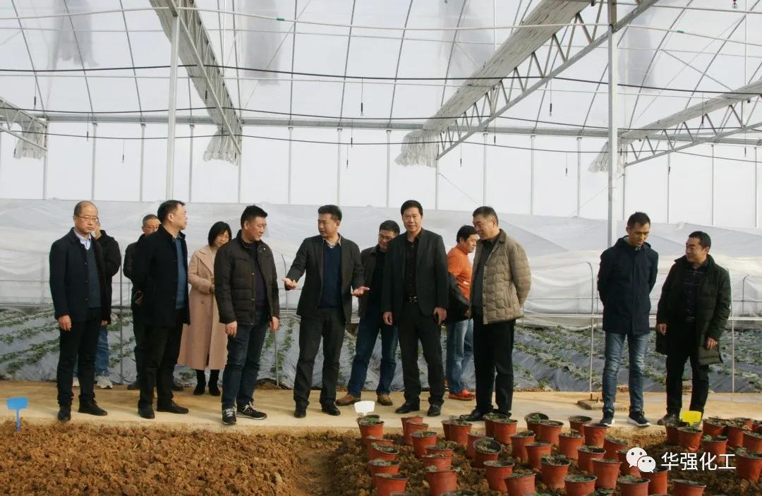 Leaders and experts participating in the project launching ceremony visited our company's new fertilizer experimental field base