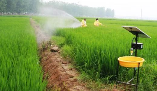 How to properly flush fertilizer