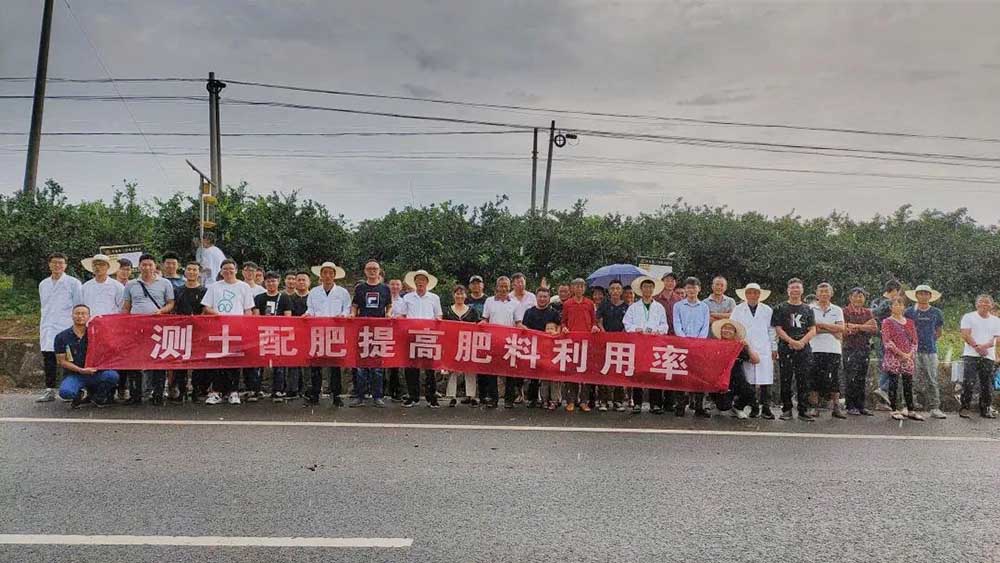 Huaqiang Citrus Test Field, Growing Good