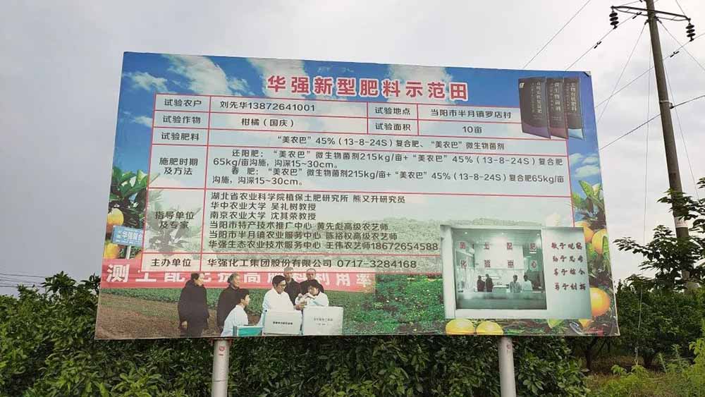 Huaqiang Citrus Test Field, Growing Good